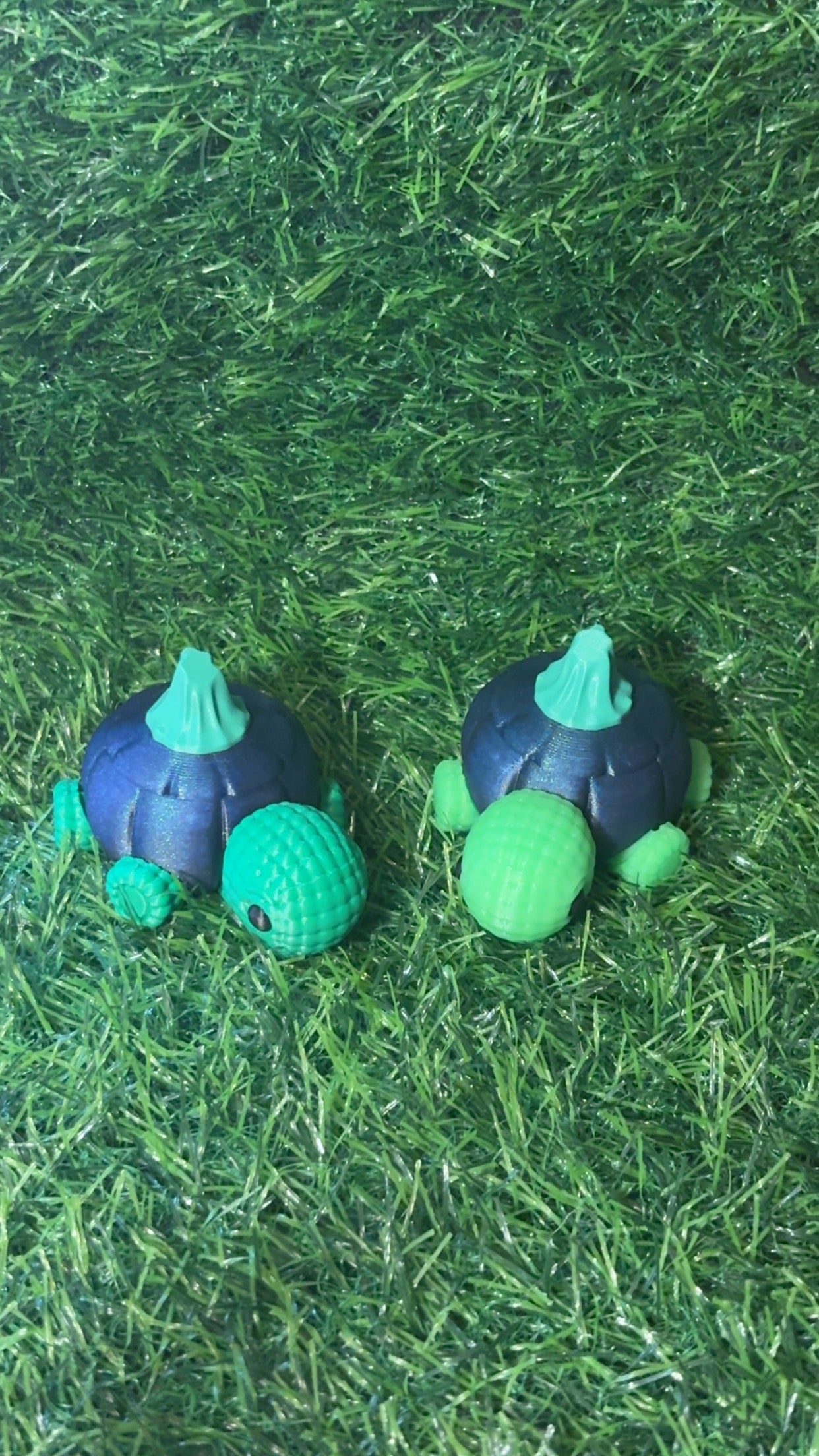 Pumpkin Turtles