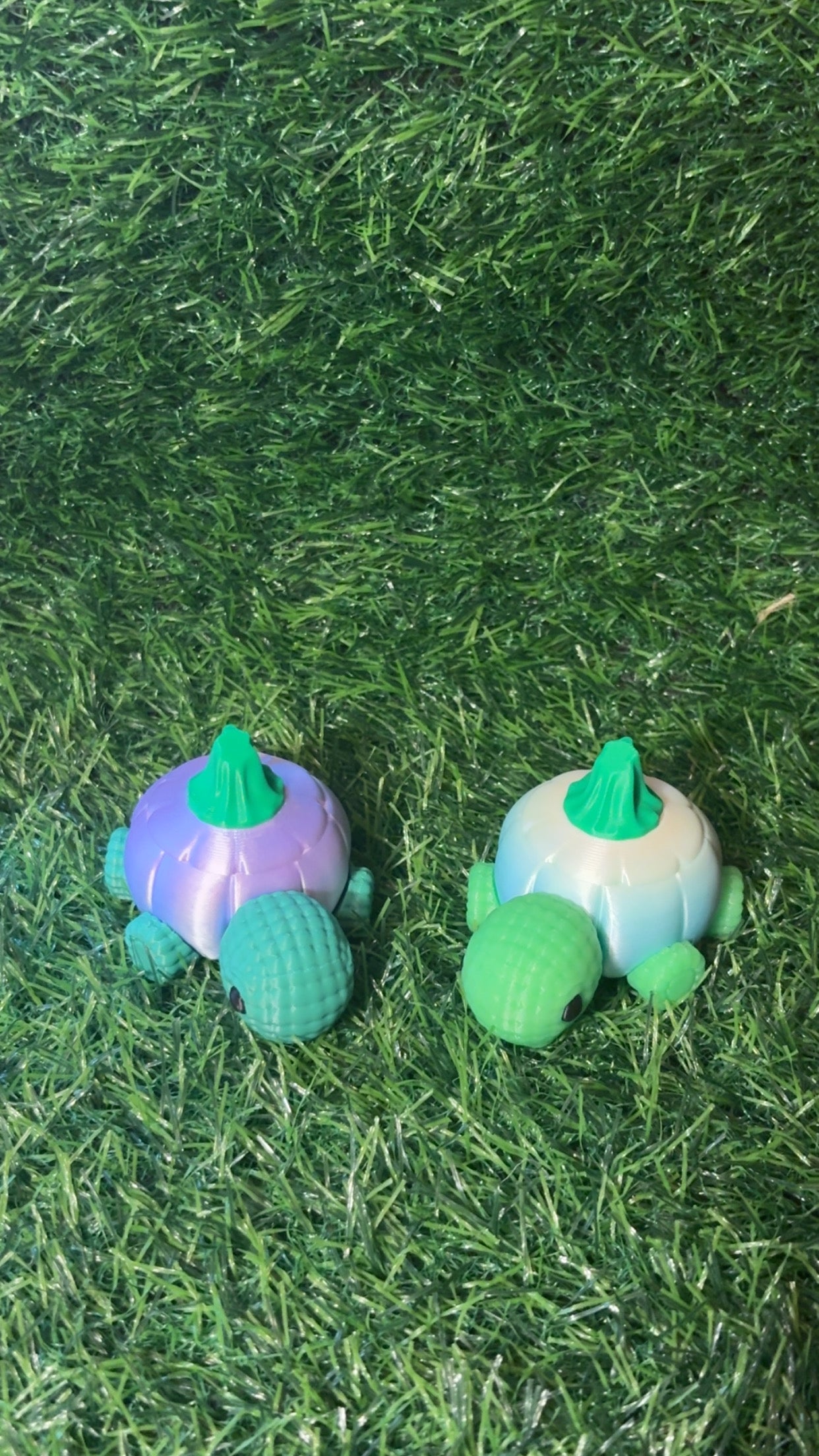 Pumpkin Turtles