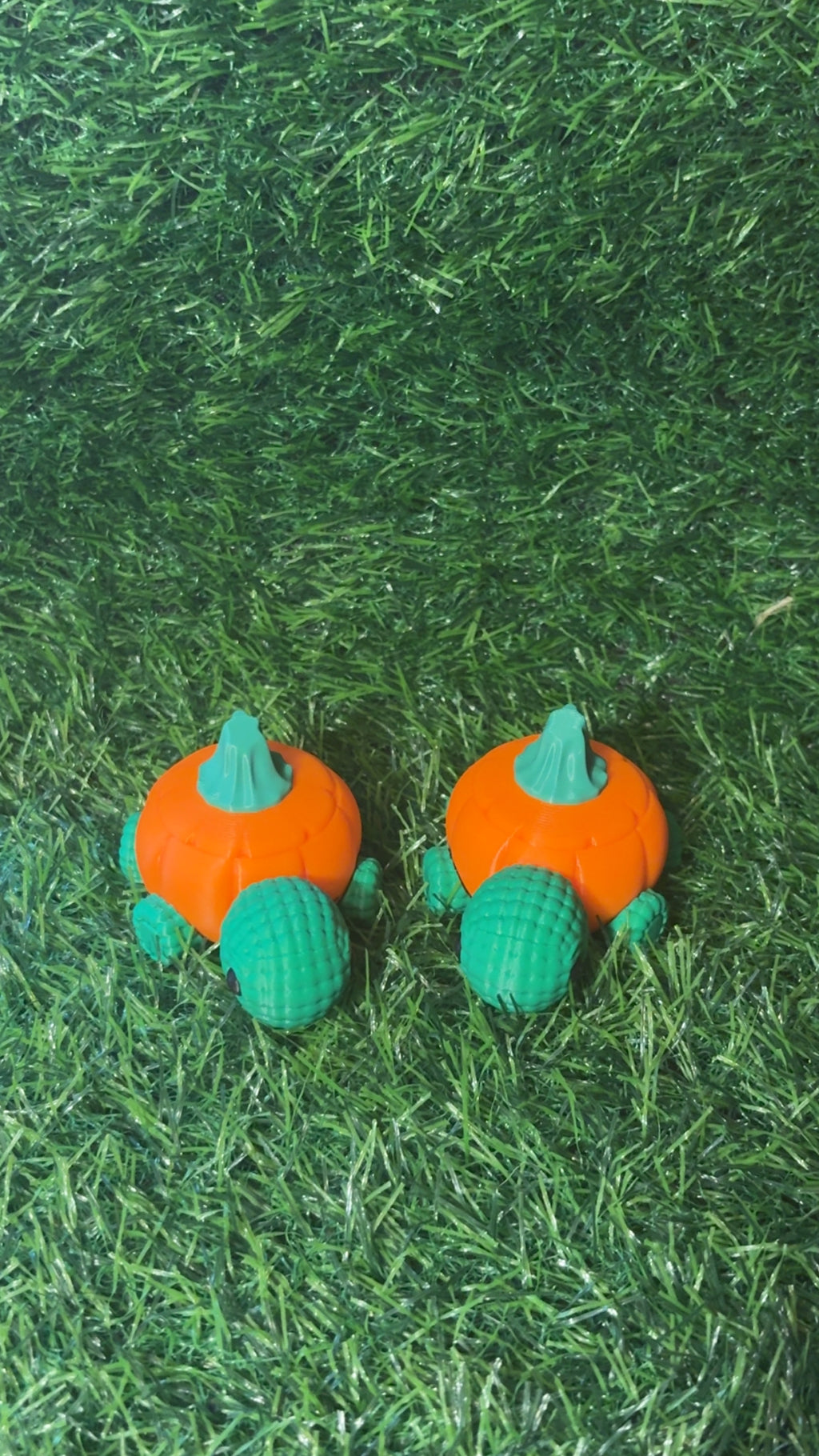 Pumpkin Turtles