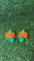 Pumpkin Turtles
