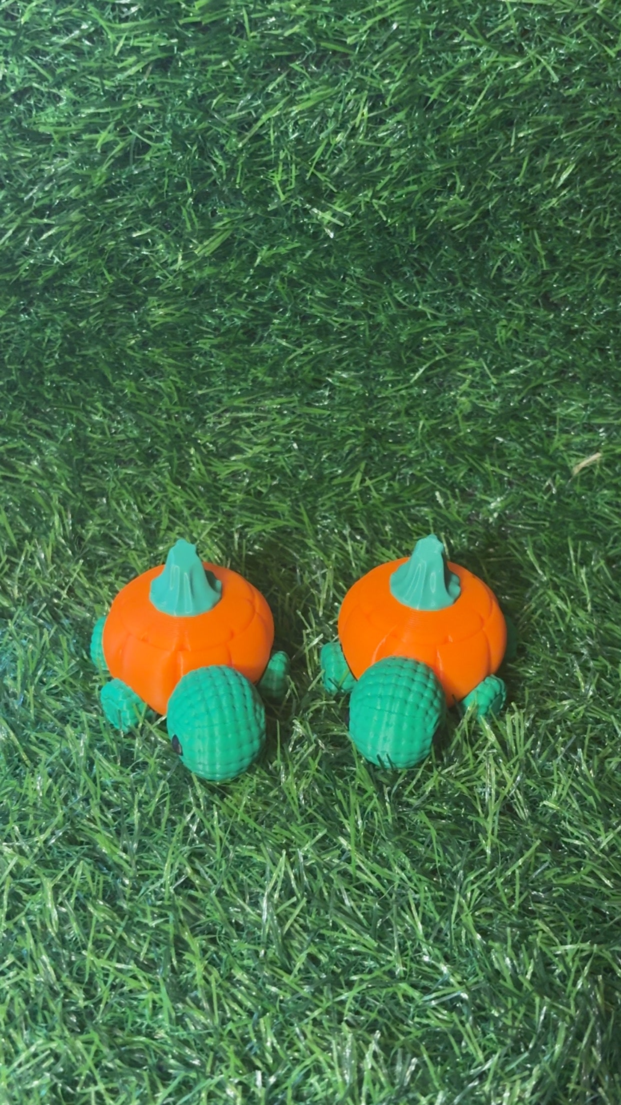 Pumpkin Turtles