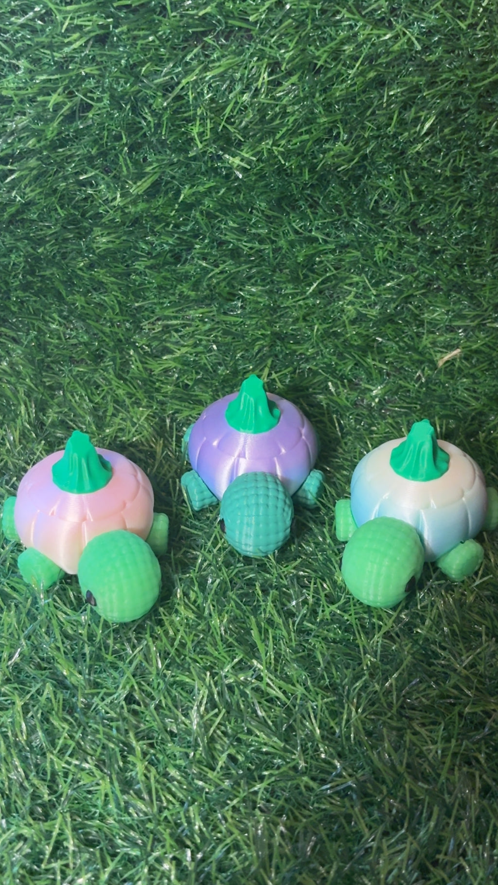 Pumpkin Turtles